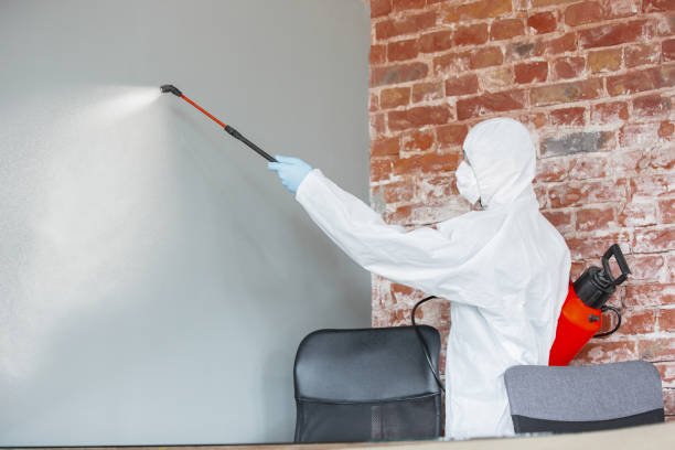 Best HVAC Mold Inspection and Cleaning  in Upper Arlington, OH
