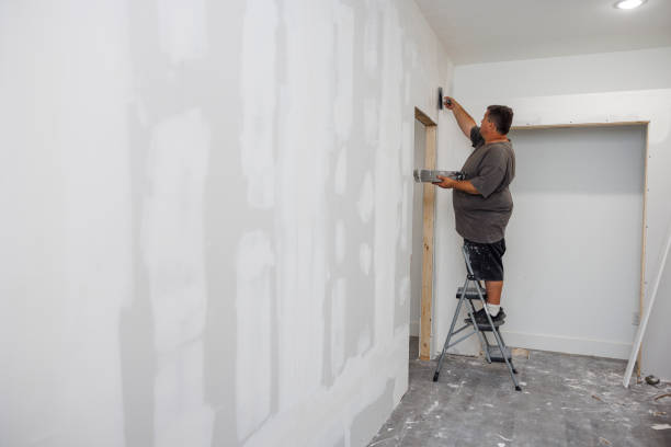 Best Mold Damage Restoration  in Upper Arlington, OH